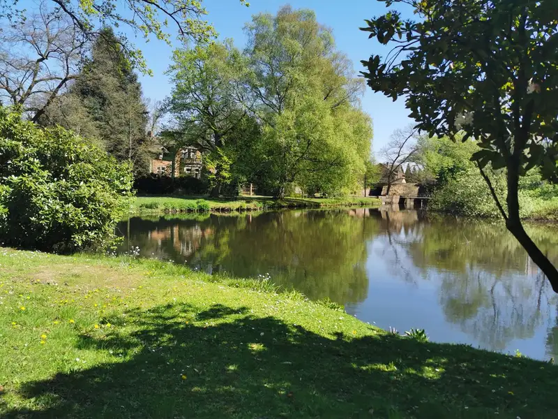 Historic Mill Restaurant with Apartment and Granny Flat in Holzminden's Scenic Pond Area