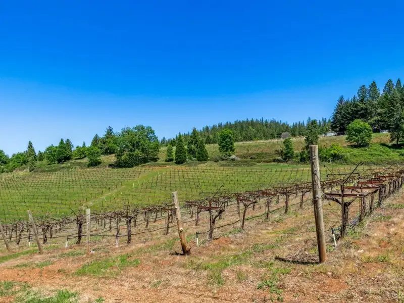 20-acre Winery Estate in Apple Hill with Event Space and Residential Home