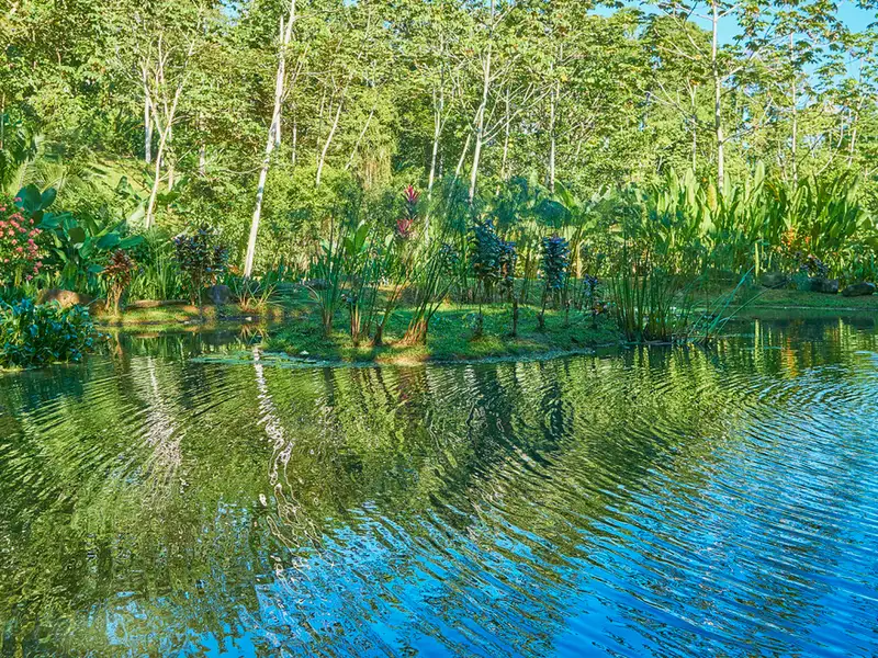 17-acre Multi-home Retreat with Yoga Pavilion and Riverfront in Uvita, Costa Rica