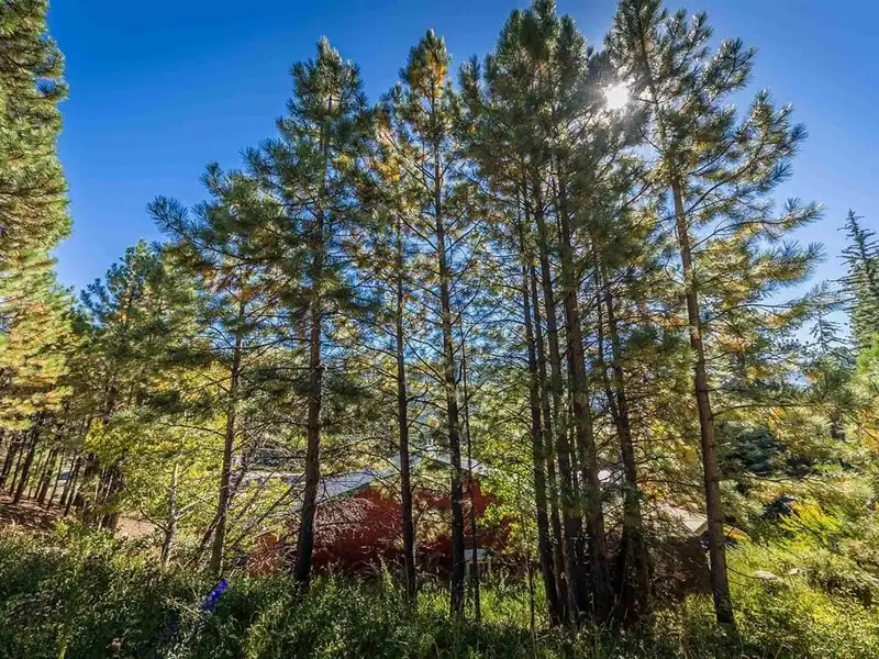Vallecito Country Market: Unique Business Opportunity with Restaurant, Gas Pump, and Liquor Store
