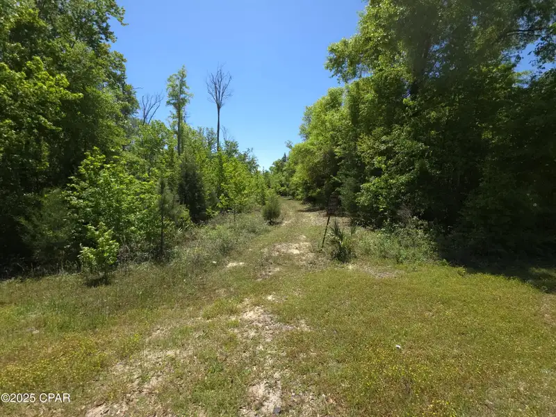 5-acre Corner Parcel for Low-impact Development in Natural Wooded Setting