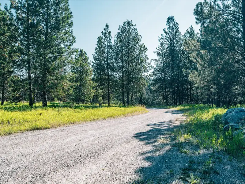 3.59-acre B-2 Zoned Land in Prime Bigfork Location with Marketable Timber