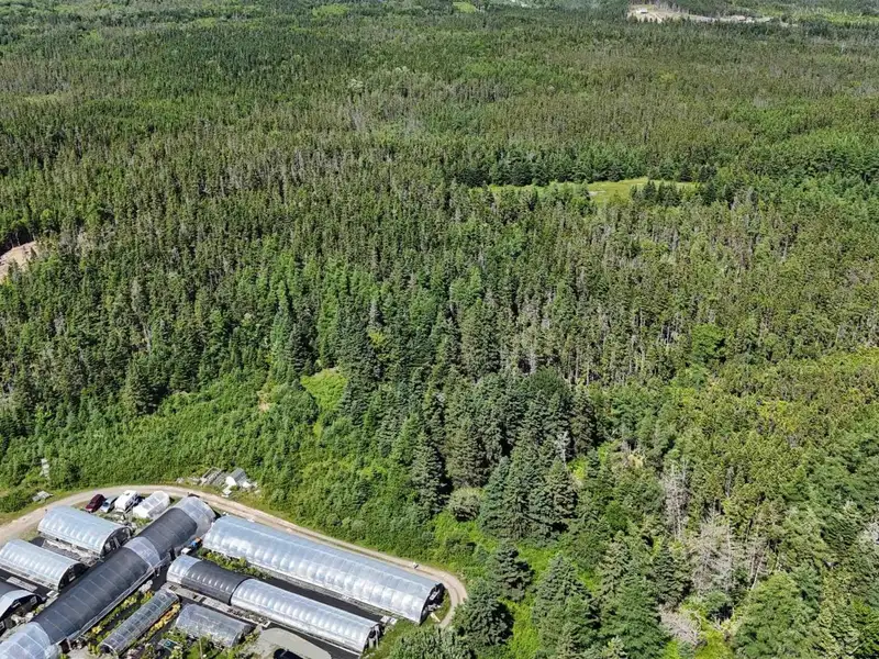 Greenhouse Business Opportunity on 7 Acres with Ocean View in St. Peter's, Ns