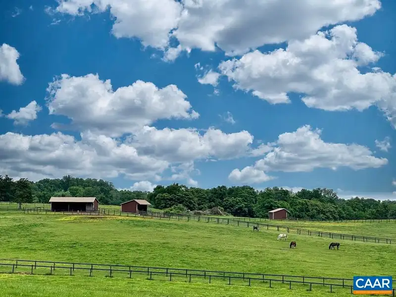 115-acre Horse Farm with Gated Entry and Prime Us 29 Road Frontage