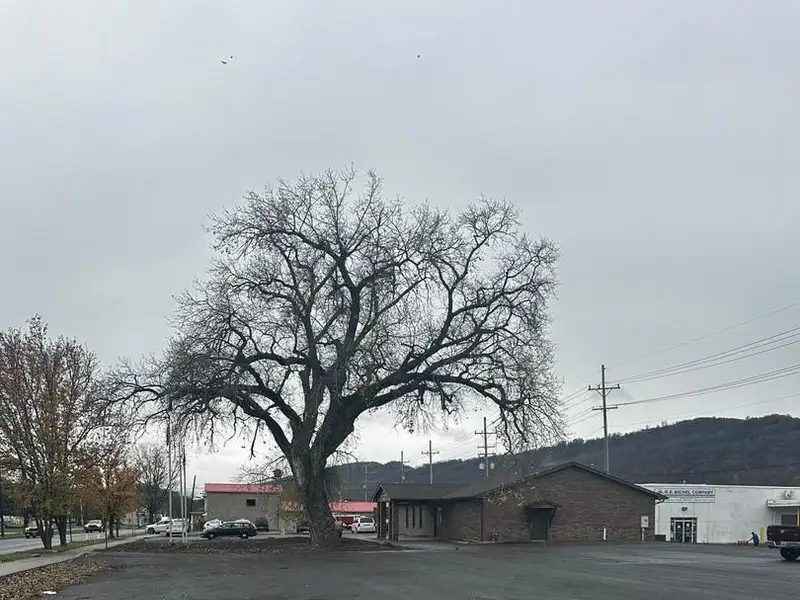Versatile 3,200 Sq Ft Brick Building in High-traffic Location with Ample Parking