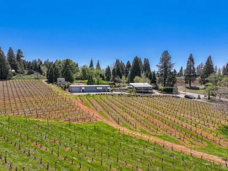 20-acre Winery Estate in Apple Hill with Event Space and Residential Home
