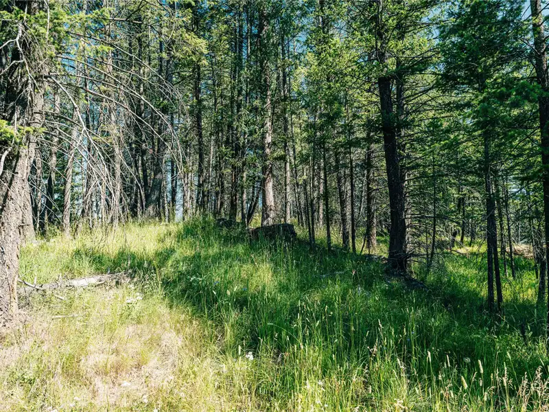 3.59-acre Zoned B-2 Land in Prime Bigfork Location with Marketable Timber