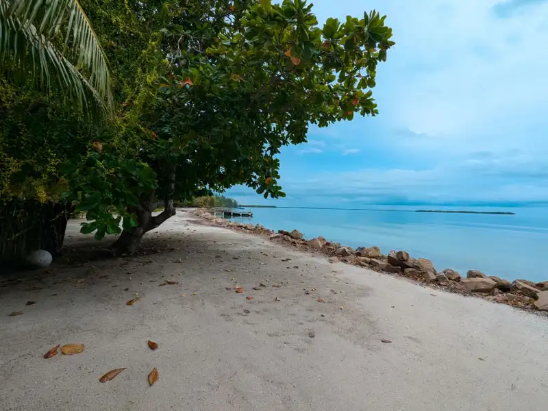 Beachfront Eco-resort Opportunity in Monkey River, Belize on 2.5 Acres with Boat Access