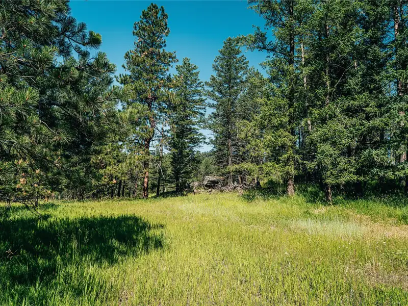 3.59-acre B-2 Zoned Land in Prime Bigfork Location with Marketable Timber