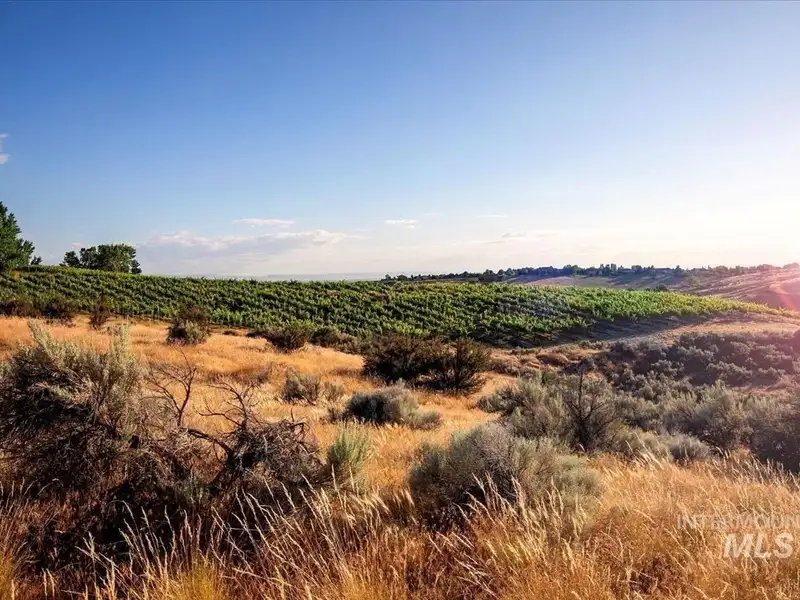 Hilltop Winery and Event Center with Custom Home and 360-degree Views in Eagle, Idaho