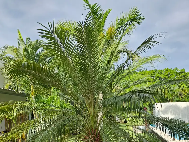 Seahorse Bed and Breakfast - Serene Retreat in La Josephina Valley, Near Tamarindo