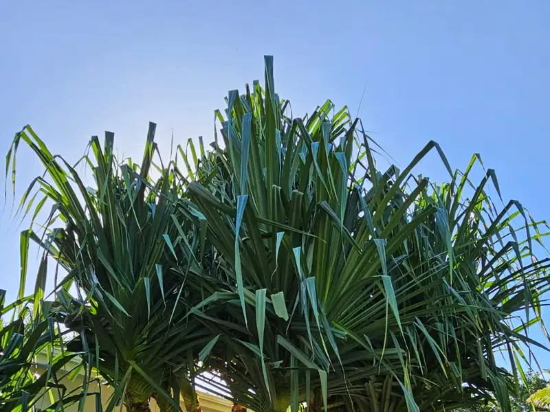 Seahorse Bed and Breakfast - Serene Retreat in La Josephina Valley, Near Tamarindo