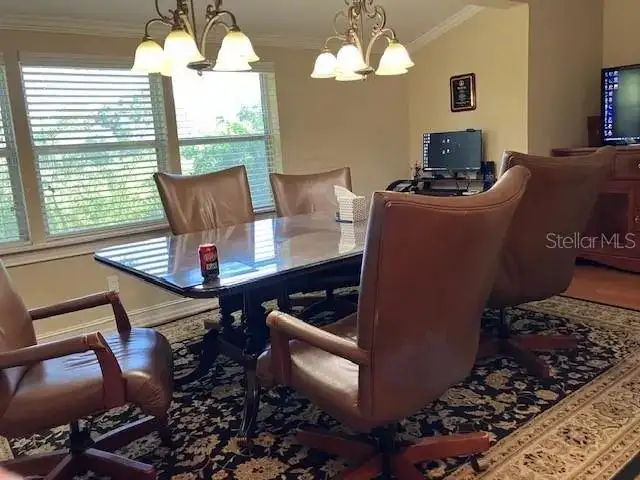 Professional Office Space in Original Carrollwood with Flexible Floor Plan and New Roof