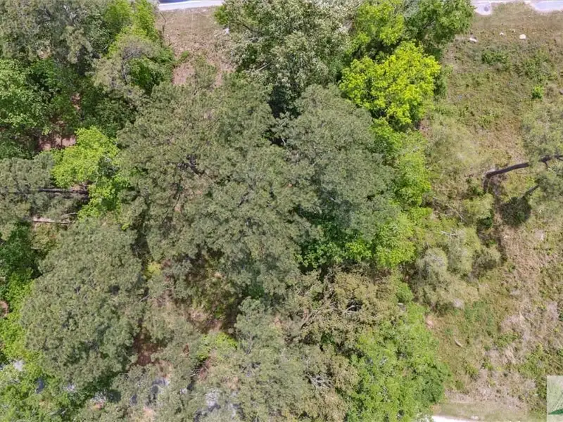 1.03 Acre C-1 Zoned Development Lot on Ogeechee Rd, High Visibility Location