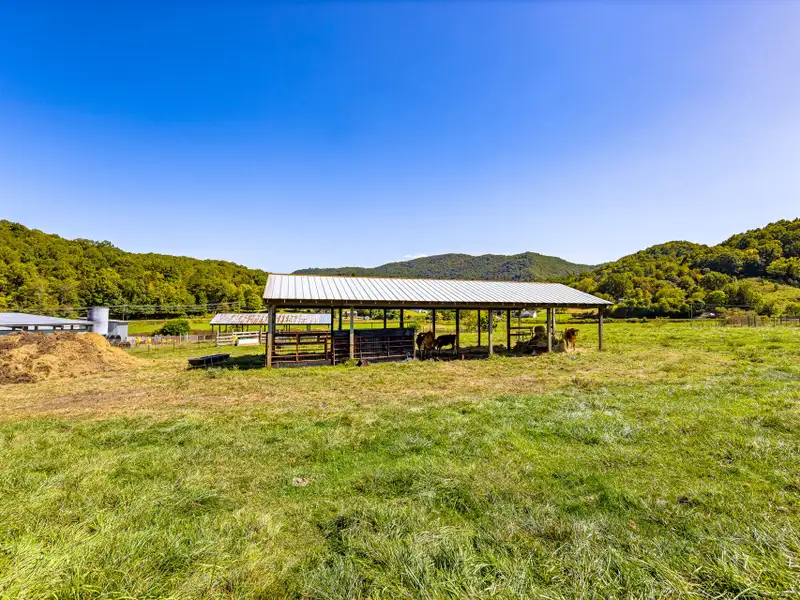 Residential Development Opportunity in Raccoon Creek Neighborhood, Waynesville, Nc