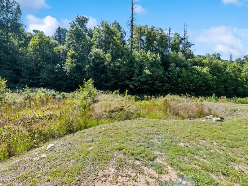2+ Acre Lot Near Blue Ridge Parkway, Former Trout Pond, Minutes to Maggie Valley and Cherokee