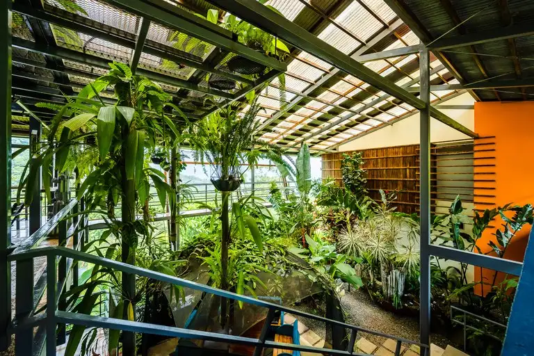 Celeste Mountain Lodge: 17-acre Eco-lodge with Rainforest Reserve in Costa Rica