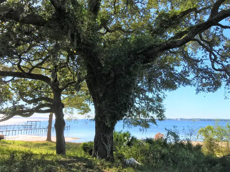 Waterfront Commercial Property on St. Andrew's Bay, Panama City, Fl - 1.67 Acres
