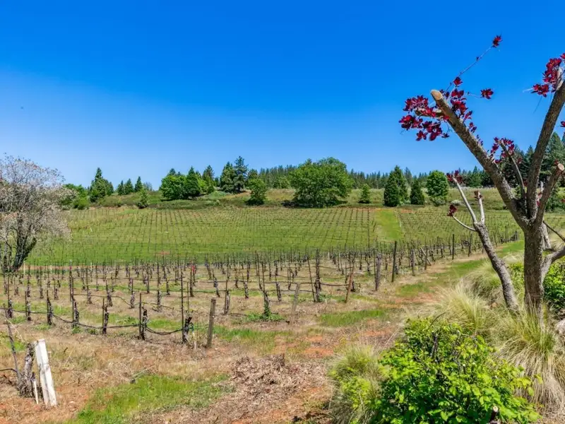 20-acre Winery Estate in Apple Hill with Event Space and Residential Home