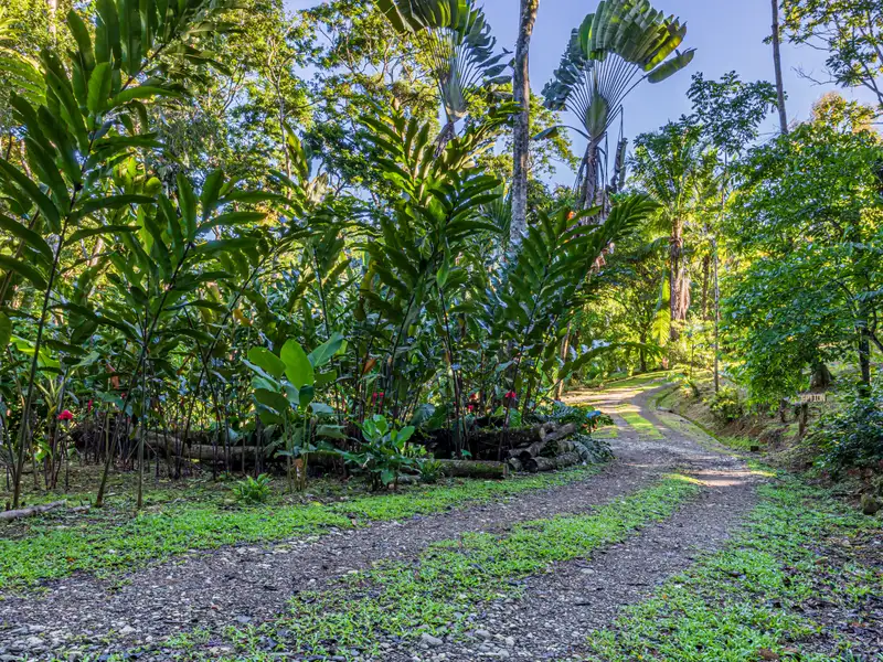 17-acre Multi-home Retreat with Yoga Pavilion and Riverfront in Uvita, Costa Rica