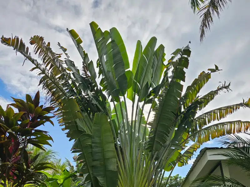 Seahorse Bed and Breakfast - Serene Retreat in La Josephina Valley, Near Tamarindo