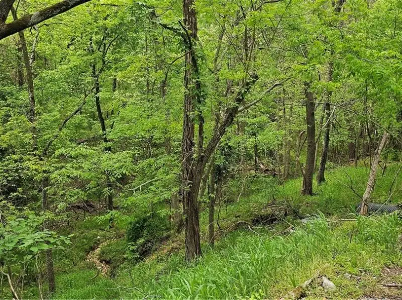 Charming Airbnb Cottage on Historic Loop with Upgrades and Large Entertaining Deck