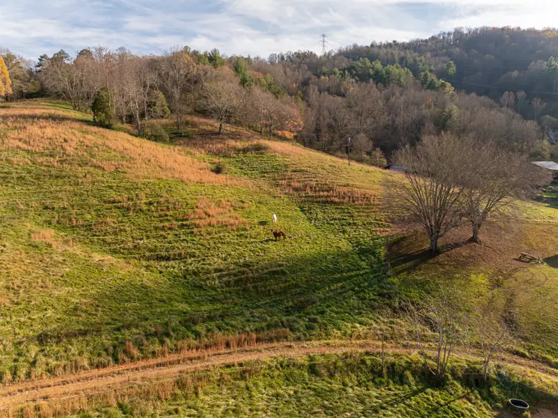 Unique 268-acre Asheville Property with Mountain Views, Homestead, and Horse Facilities