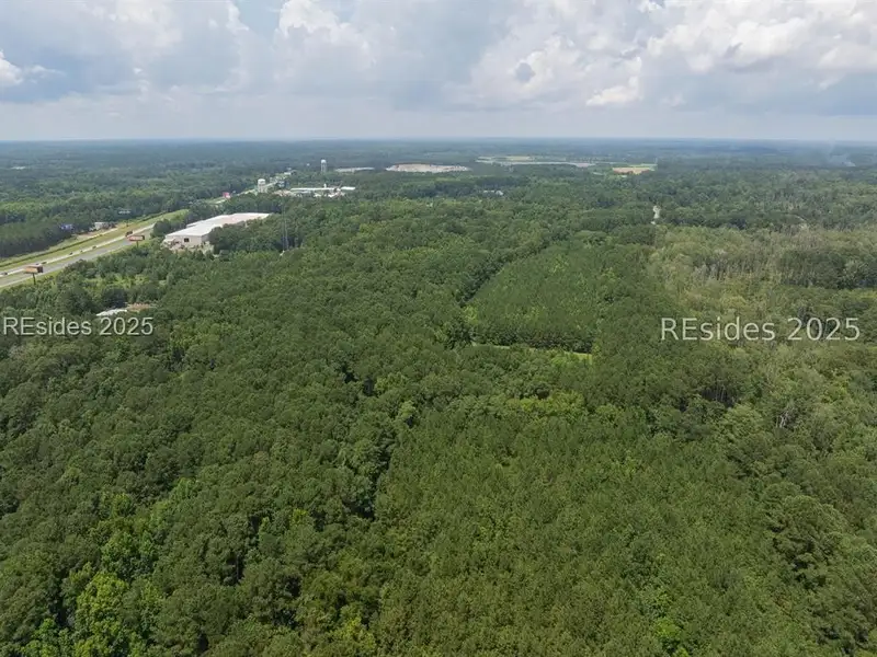 30-acre Wooded Land for Sale in Ridgeland, Sc Near I-95 Exit 21