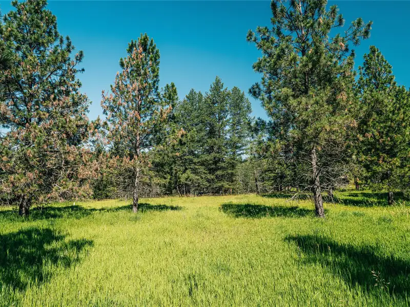 3.59-acre B-2 Zoned Land in Prime Bigfork Location with Marketable Timber