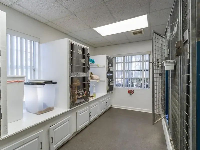 Mixed-use Investment Portfolio in Haile Village Center with 4 Buildings and 11,000 Sq Ft