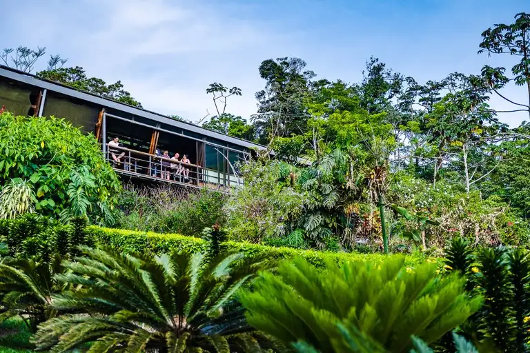 Celeste Mountain Lodge: 17-acre Eco-lodge with Rainforest Reserve in Costa Rica