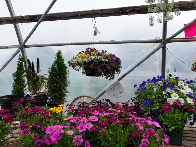 Greenhouse Business Opportunity on 7 Acres with Ocean View in St. Peter's, Ns