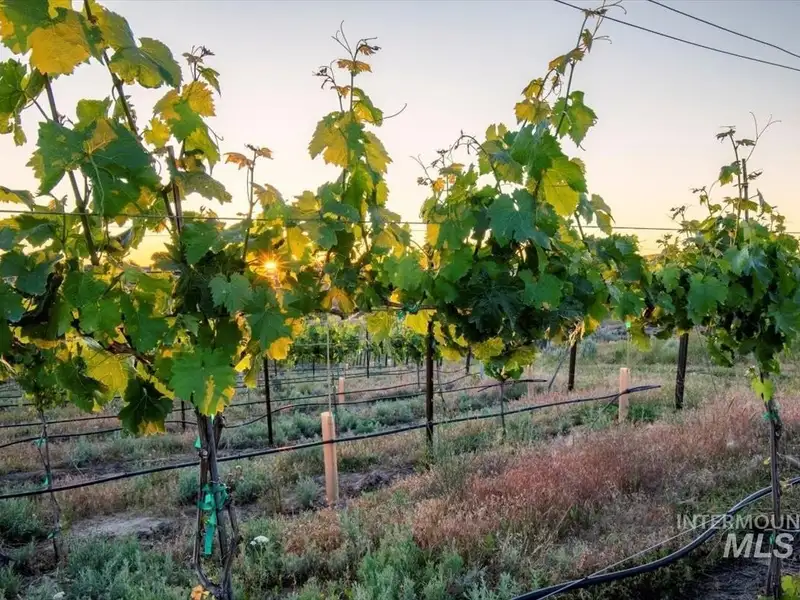 Hilltop Winery and Event Center with Custom Home and 360-degree Views in Eagle, Idaho