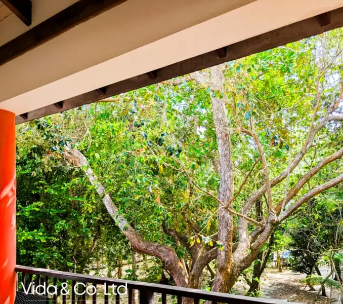 Luxury Condominiums with Caribbean Views in Placencia, Belize