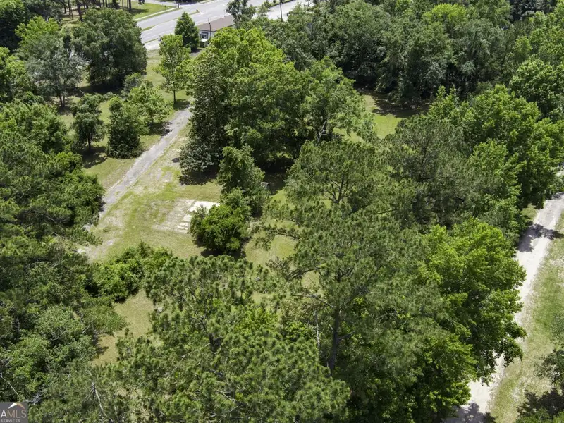 4-acre Commercial Property with Historic Fire Museum on Us Hwy 17, Woodbine