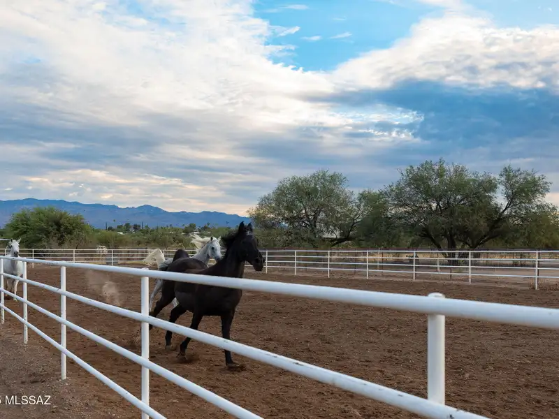 Equestrian Property on 18 Acres with Barns, Stalls, and Manufactured Homes