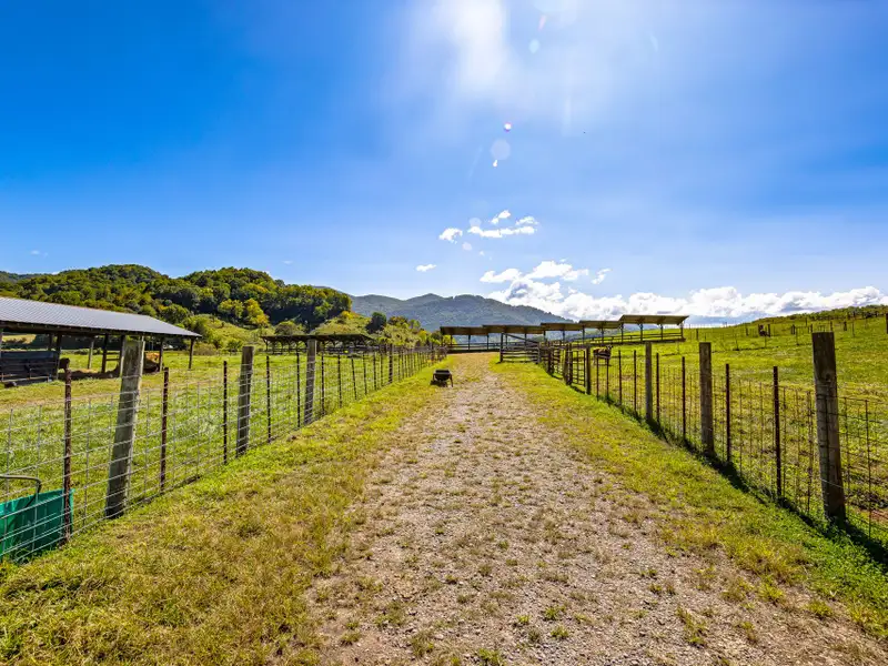 Residential Development Opportunity in Raccoon Creek Neighborhood, Waynesville, Nc
