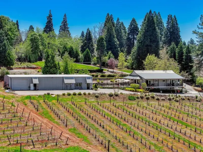 20-acre Winery Estate in Apple Hill with Event Space and Residential Home