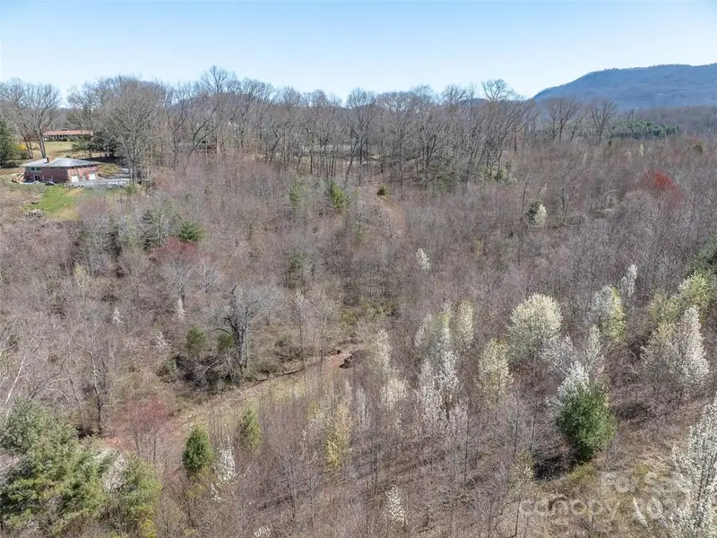 19+ Acres of Unimproved Land with Long Range Views in Waynesville, Nc