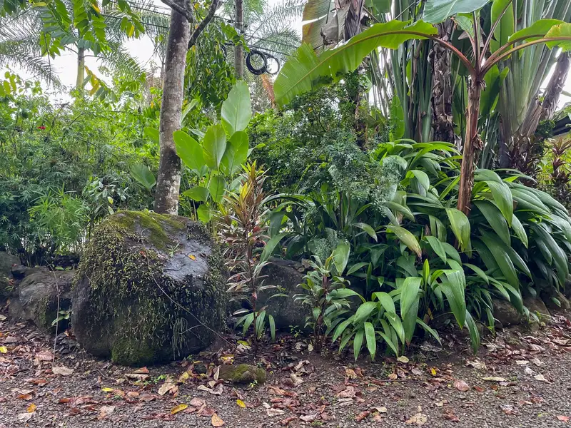 One-bedroom Home with Expansion Potential in Central Ojochal, Costa Rica