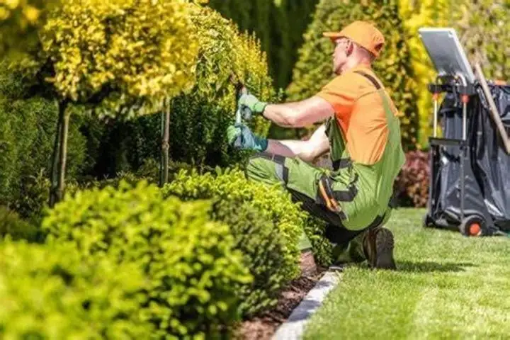 Established Landscaping and Property Maintenance Business in Greater Lancaster Area