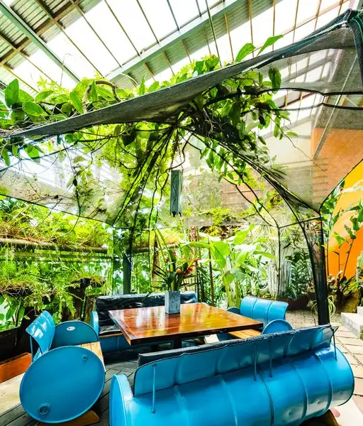 Celeste Mountain Lodge: 17-acre Eco-lodge with Rainforest Reserve in Costa Rica