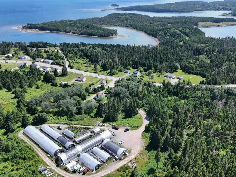 Greenhouse Business Opportunity on 7 Acres with Ocean View in St. Peter's, Ns