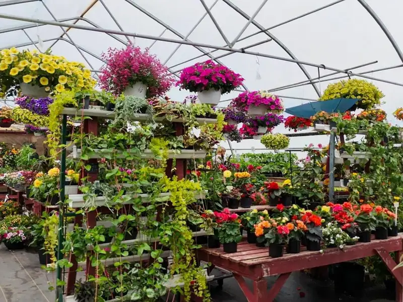 Greenhouse Business Opportunity on 7 Acres with Ocean View in St. Peter's, Ns