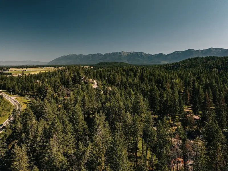 3.59-acre B-2 Zoned Land in Prime Bigfork Location with Marketable Timber