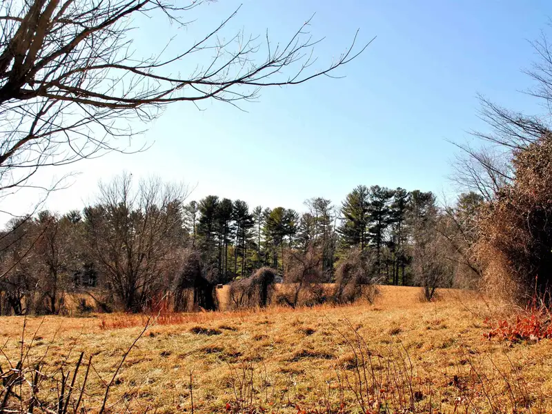Commercial Land Opportunity on 5.444 Acres with Road Frontage Near I-77
