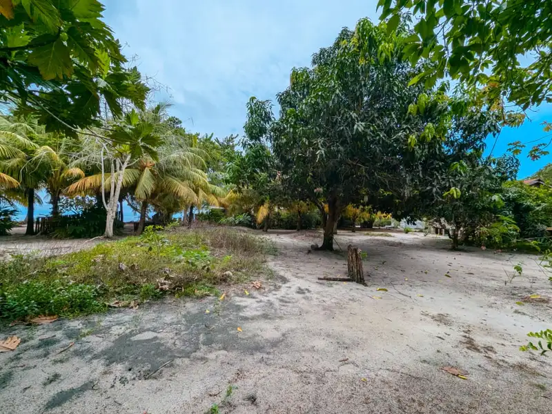 Beachfront Eco-resort Opportunity in Monkey River, Belize on 2.5 Acres with Boat Access