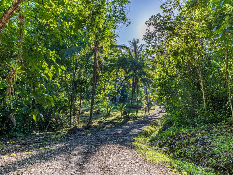 17-acre Multi-home Retreat with Yoga Pavilion and Riverfront in Uvita, Costa Rica