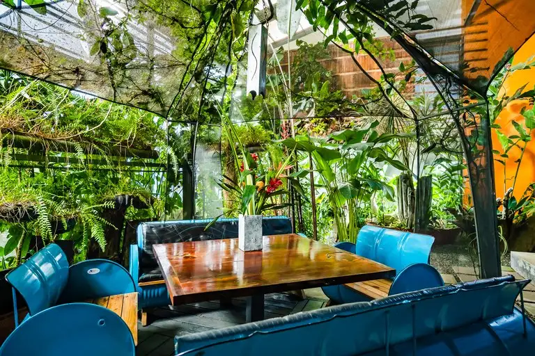 Celeste Mountain Lodge: 17-acre Eco-lodge with Rainforest Reserve in Costa Rica