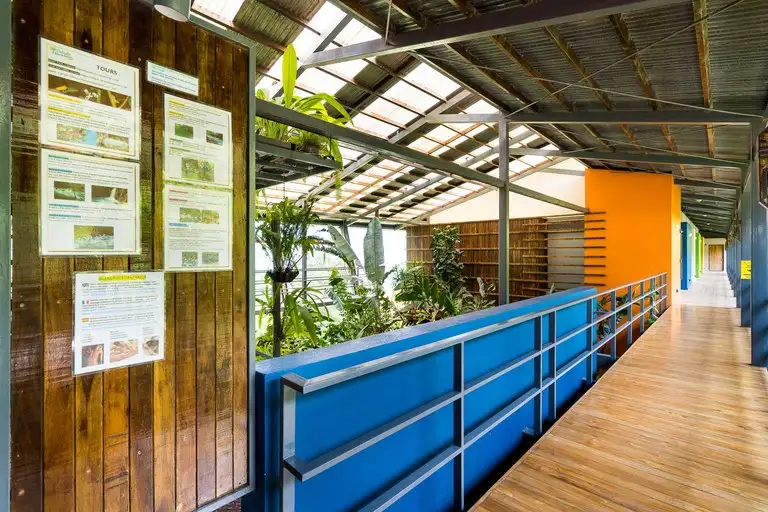 Celeste Mountain Lodge: 17-acre Eco-lodge with Rainforest Reserve in Costa Rica